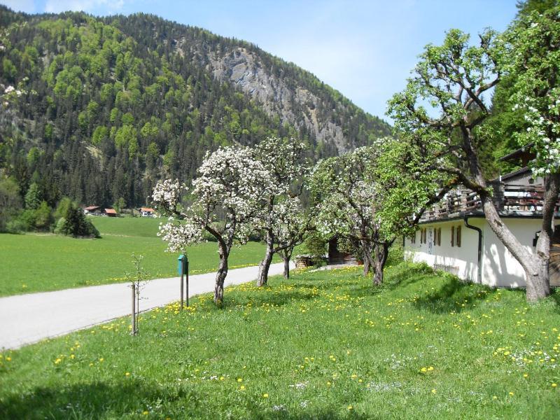 Gasthaus - Pension - Cafe Doerfl Kiefersfelden Exteriér fotografie