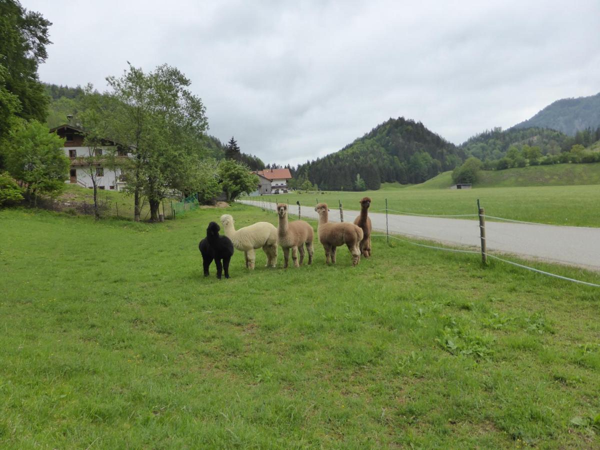 Gasthaus - Pension - Cafe Doerfl Kiefersfelden Exteriér fotografie